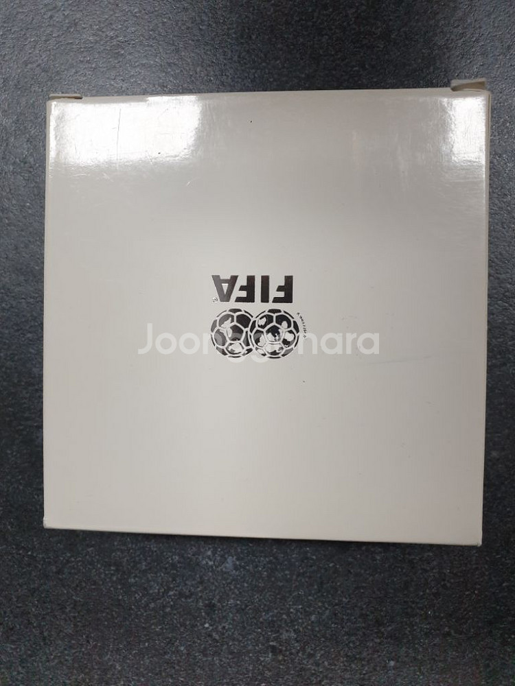 2014브라질 월드컵 원정8강기원 주화 기념--3