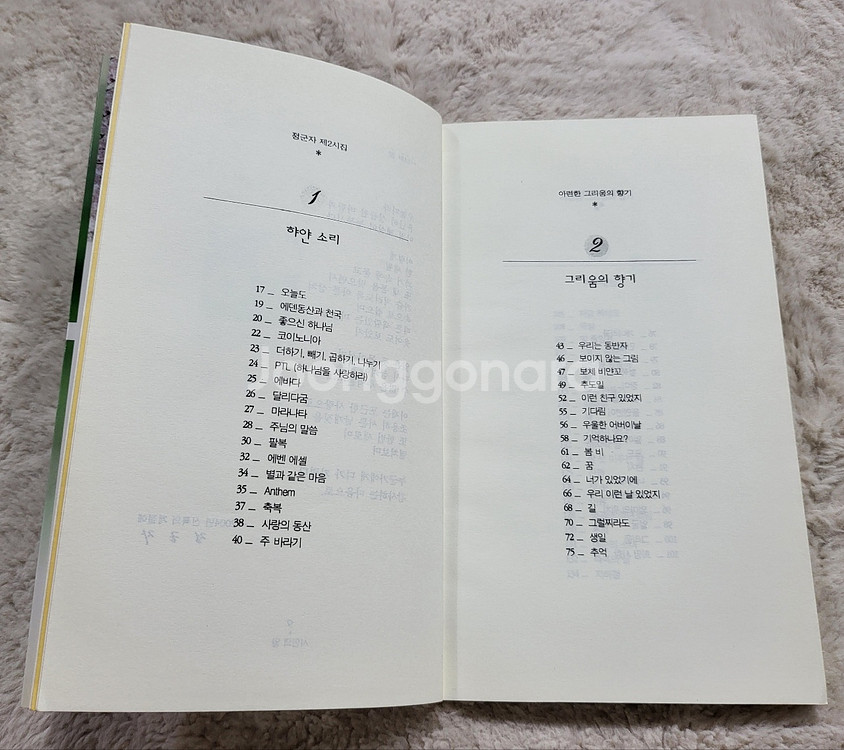 정군자 시집 아려한 그리움의 향기--2
