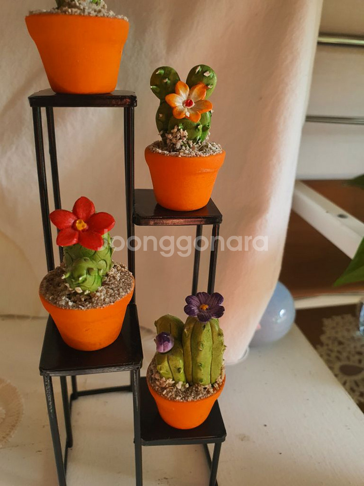 미니어처 식물 선반/ 소품 -개별가격 다릅니다.--5