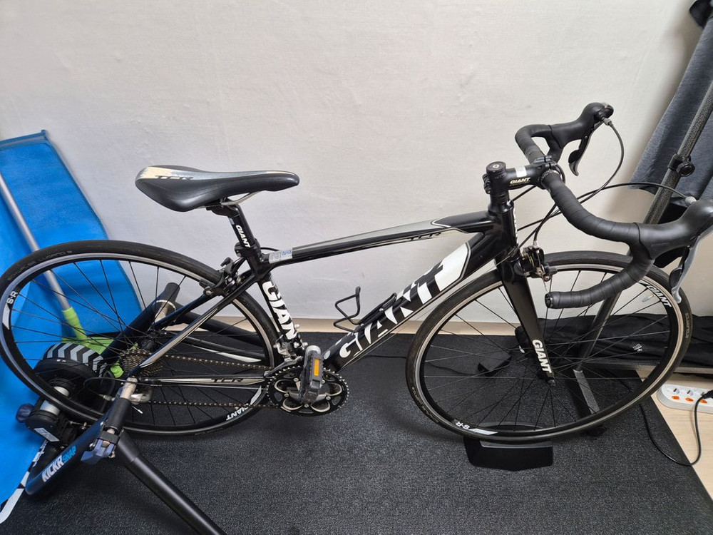 자이언트 tcr2 xs 사이즈--3