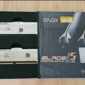 OLOy DDR5-6000 CL32 X 2