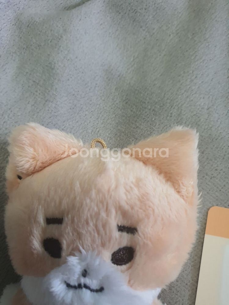 데이식스 깡냥이 영케이 인형--1