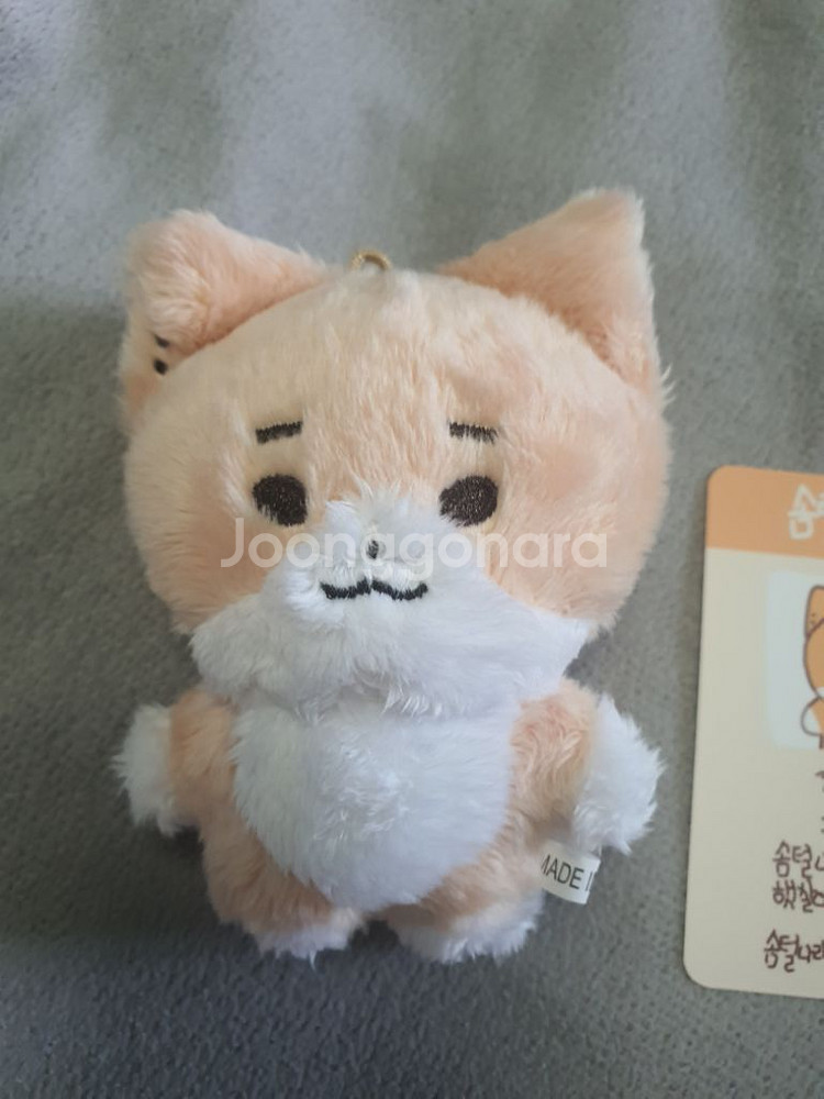 데이식스 깡냥이 영케이 인형--2