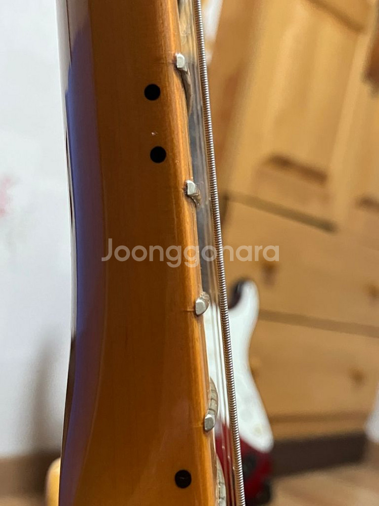 스콰이어 클래식바이브 50s 텔레캐스터 일렉기타--2