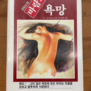 바람의 욕망 : 86년 초판 희귀도서