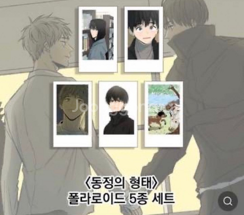 (구함)동정의형태 동형 포카 엽서 모펀 굿즈 구합니다--6
