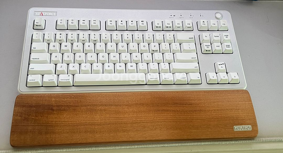 리얼포스r3 맥 + 팜레스트 올해제조--2