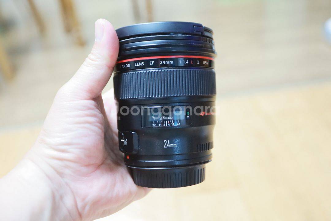 부산 캐논 Ef 24mm f1.4 이사벨 2 가격내림--2