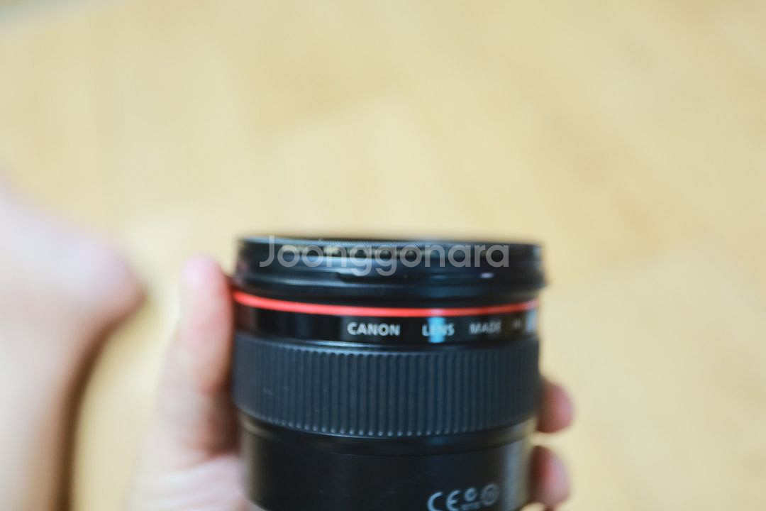 부산 캐논 Ef 24mm f1.4 이사벨 2 가격내림--1