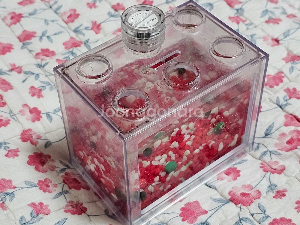 반려식물 마리모 미니 LED 어항 블럭모양 투명저금통--0