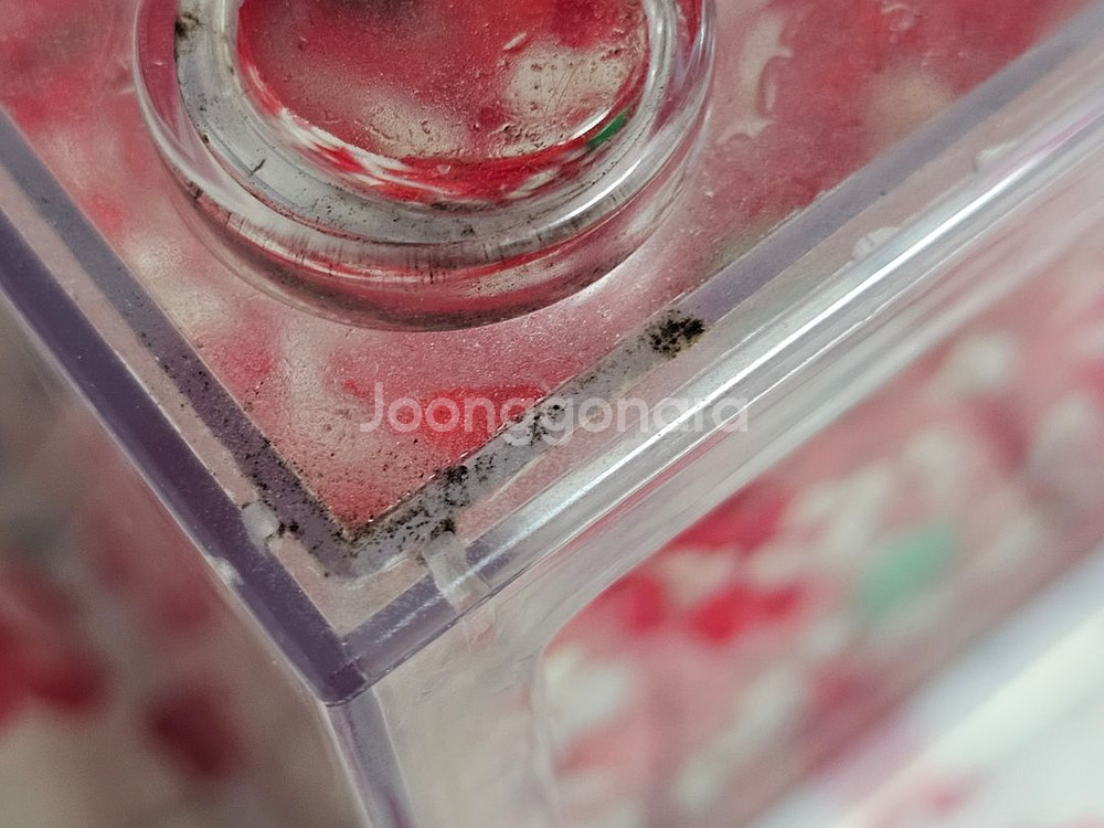 반려식물 마리모 미니 LED 어항 블럭모양 투명저금통--2