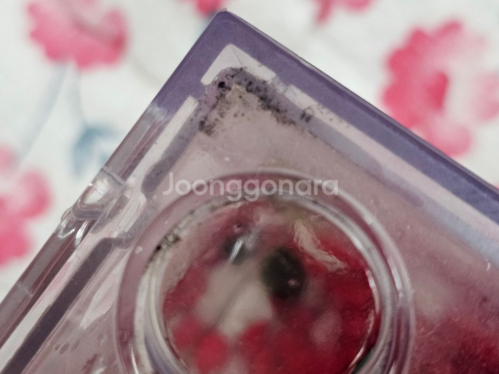 반려식물 마리모 미니 LED 어항 블럭모양 투명저금통--3