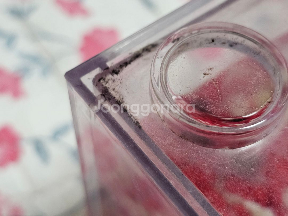 반려식물 마리모 미니 LED 어항 블럭모양 투명저금통--4