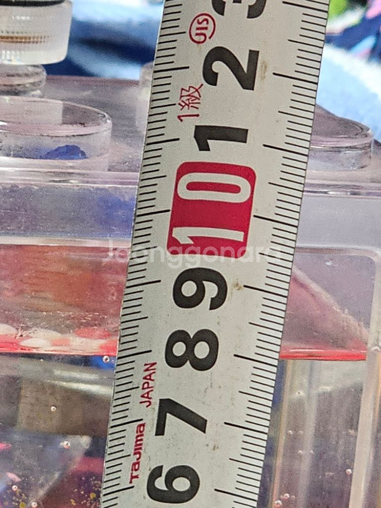 반려식물 마리모 미니 LED 어항 블럭모양 투명저금통--9