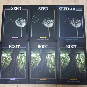 2025 박선우 seed root 세트 필기없음