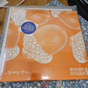 유다빈밴드 lp gsi edition 미개봉 택포