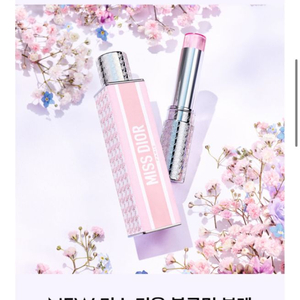 미스디올 블루밍부케 미니 미스 솔리드퍼퓸