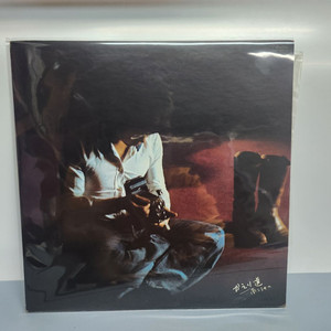 Kosetsu Minami 미나미 코세츠 lp