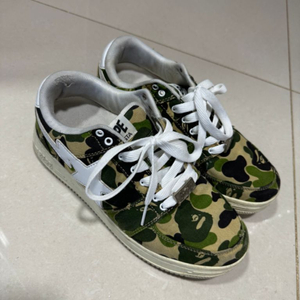 베이프스타 270