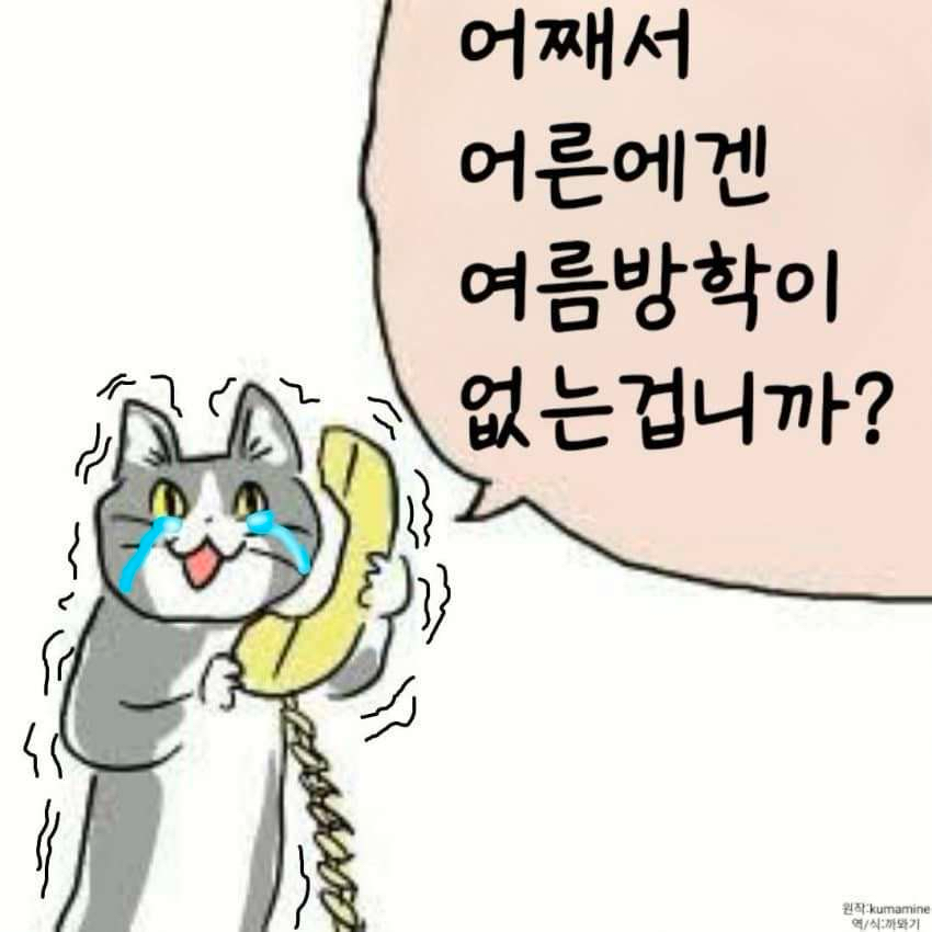 프로파일