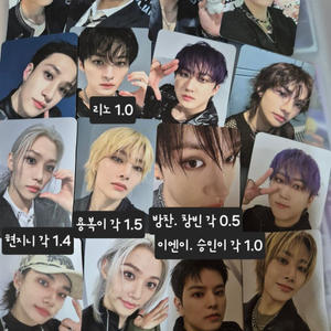 스키즈 도미네이트 포카