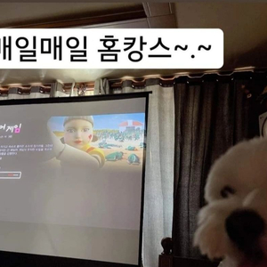 300짜리빔프로젝터 +스크린 4K고사양 lg빔 가격다운