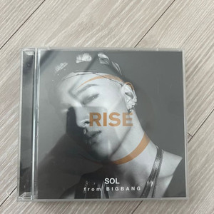 태양 라이즈 RISE 일본판 CD + DVD