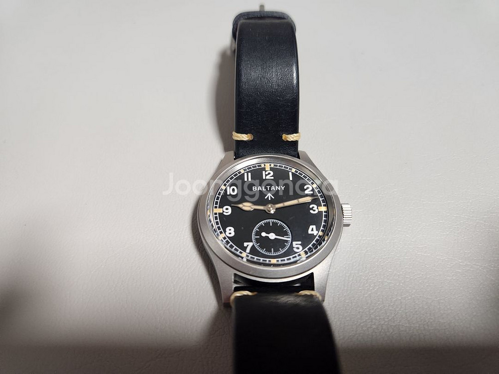 발타니 더티더즌 36--5