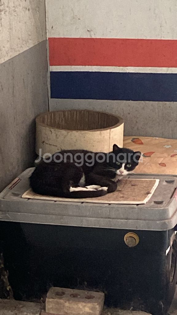 메가스터디 책 구매해주실분--0