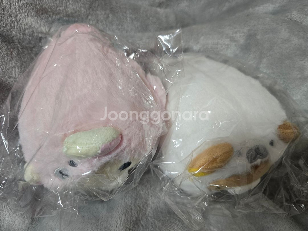 리락쿠마 물범 코리락쿠마 인형 바다표범 누이 바다 해양--1