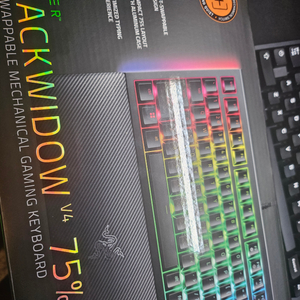 razer 블랙위도우 v4 7% 팔아요