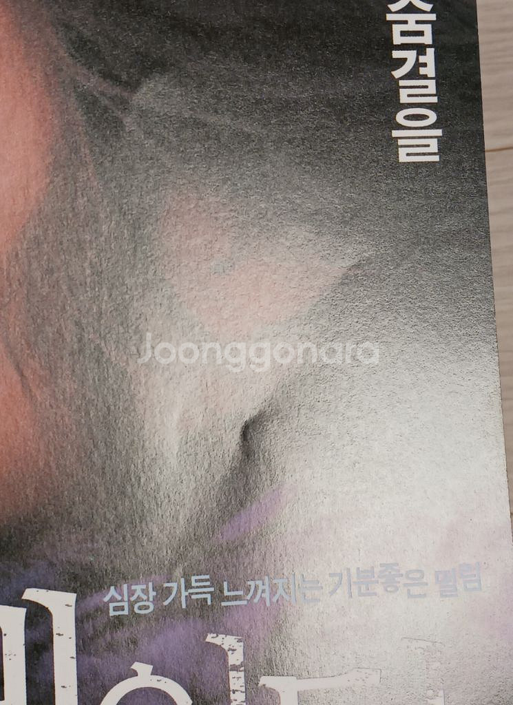 바이브레**(2005년)--3
