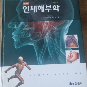 인체해부학