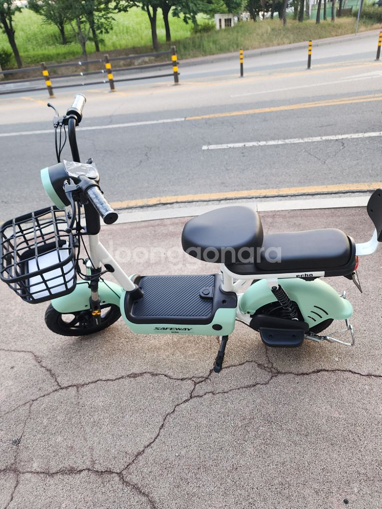 전기스쿠터 세이프웨이 에코 스쿠터500w--2