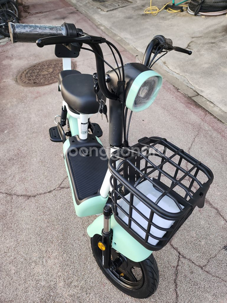전기스쿠터 세이프웨이 에코 스쿠터500w--1