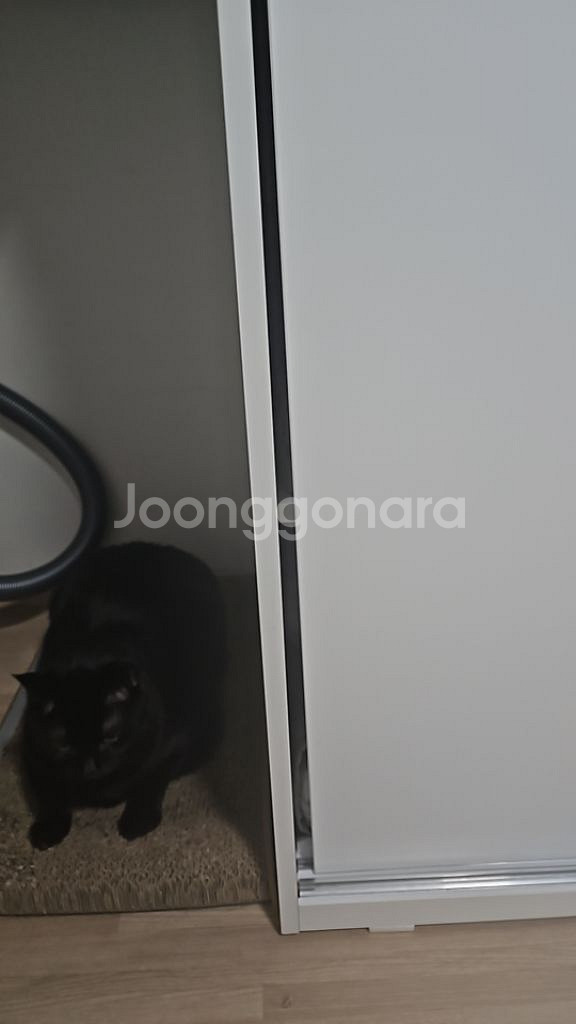 옷장--3