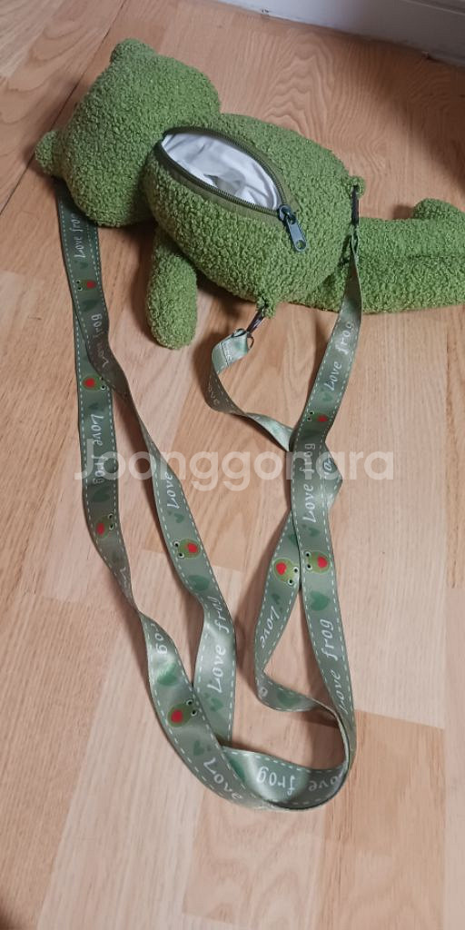 뉴진스 민지가 애정하는 개구리가방--2