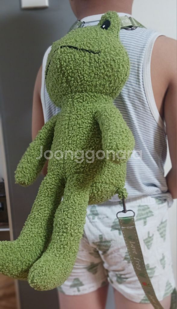 뉴진스 민지가 애정하는 개구리가방--3