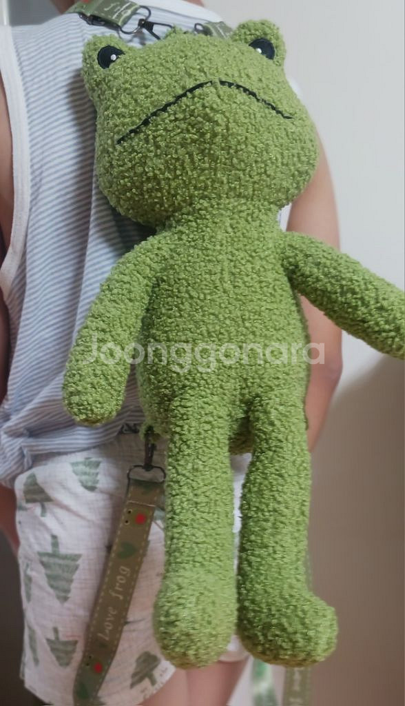 뉴진스 민지가 애정하는 개구리가방--4