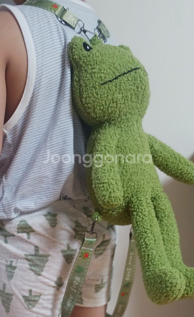 뉴진스 민지가 애정하는 개구리가방--5