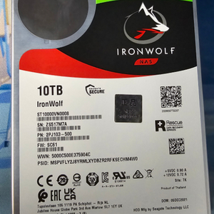 씨게이트 Ironwolf 10TB