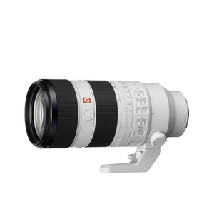 소니 70-200gm2(금령2) 삽니다.