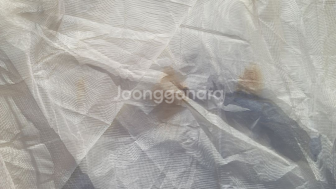 포레스트캠핑 매쉬스크린 팝니다--6