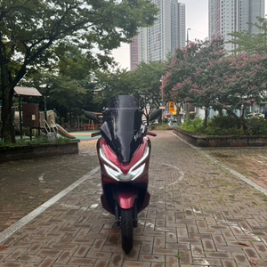 pcx125 19년식 판매합니다