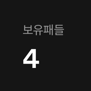 카누 패들 4개 일괄