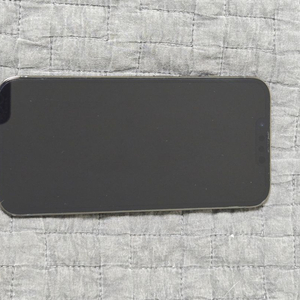 아이폰 13 pro 256g (침수0)