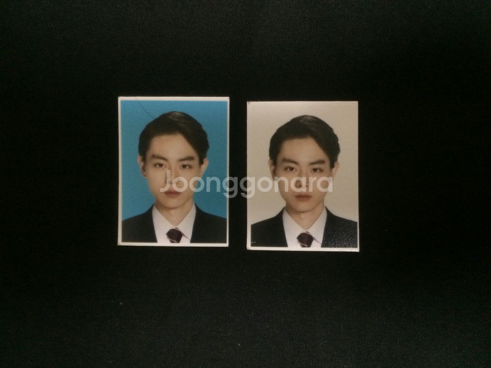 야마자키켄토 야마켄 스다마사키 스다 증사 증명사진--3