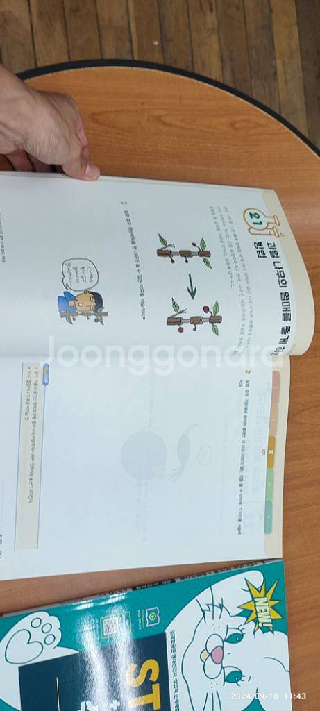 안쌤의 스팀창의사고력 수학과학 100제 초등영재시험준비--1