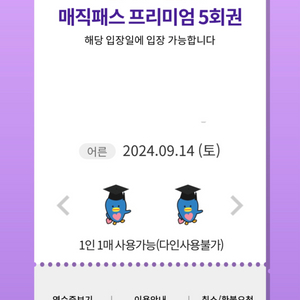 9.14 (토) 롯데월드 매직패스 5회권 7회권