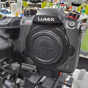 Panasonic Lumix GH5S 루믹스